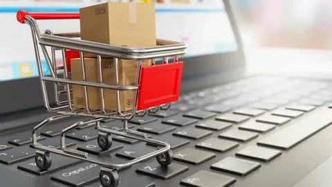 Smart Shopping Online: Tips for a Secure Digital Experience